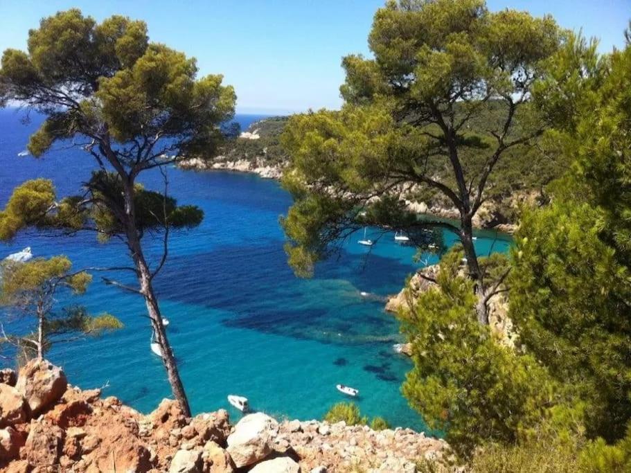 Brad'S House. Apartment Saint-Cyr-sur-Mer Luaran gambar